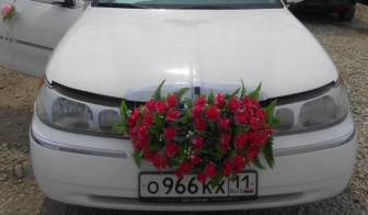 Транспортная компания MGM Motors