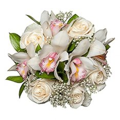 Студия Особенный день