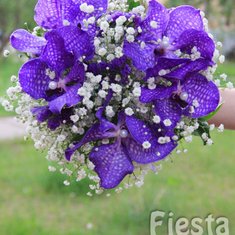 Мастерская праздничного декора ФИЕСТА