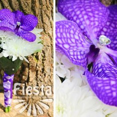 Мастерская праздничного декора ФИЕСТА