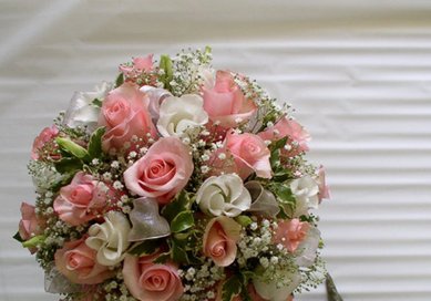 Букет Ц8520 - Салон цветов ЦВЕТЫ ОПТОМ