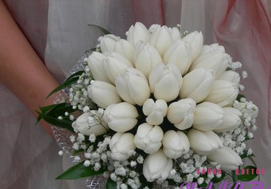 Букет Ц8521 - Салон цветов ЦВЕТЫ ОПТОМ