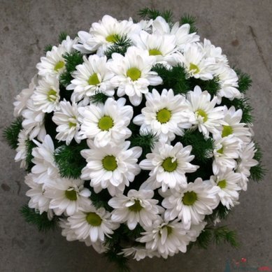 Букет Ц8524 - Салон цветов ЦВЕТЫ ОПТОМ