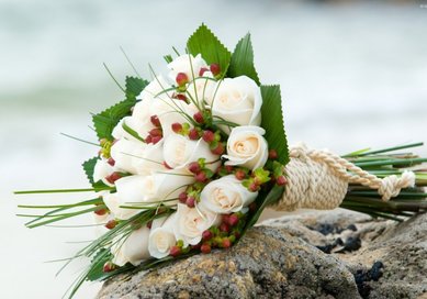 Букет Ц8527 - Салон цветов ЦВЕТЫ ОПТОМ