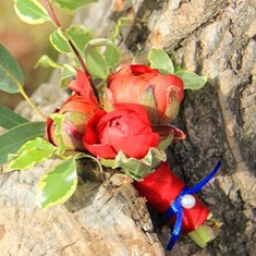 Бутоньерка Ф9754