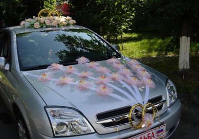 Аксессуар С58156 - Салон аксессуаров СВАДЕБНЫЙ МИР